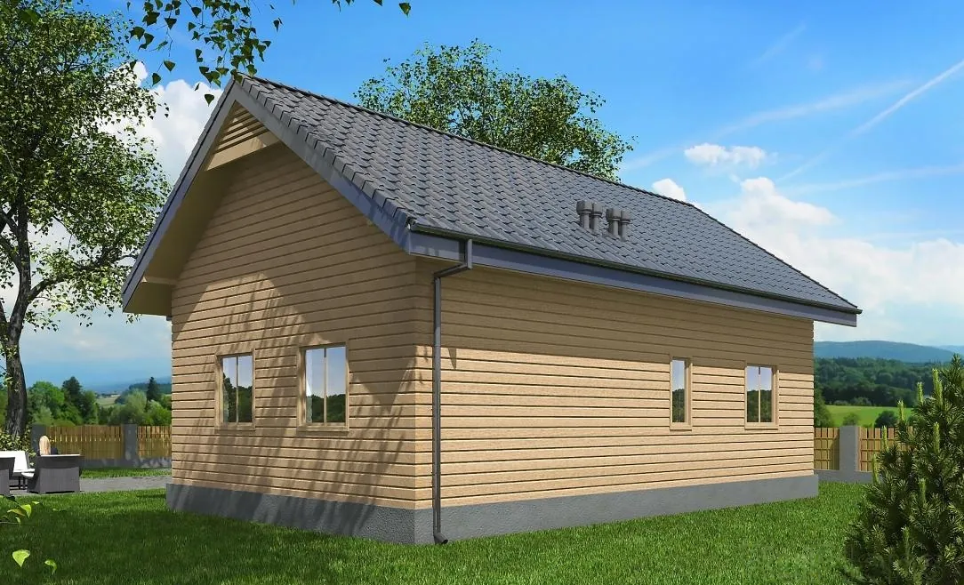 Одноэтажный каркасный дом, 60,5 м² — 3D-вид 2