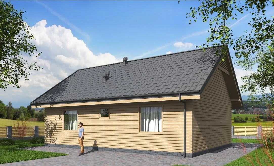 Одноэтажный каркасный дом, 64,9 м² — 3D-вид 3